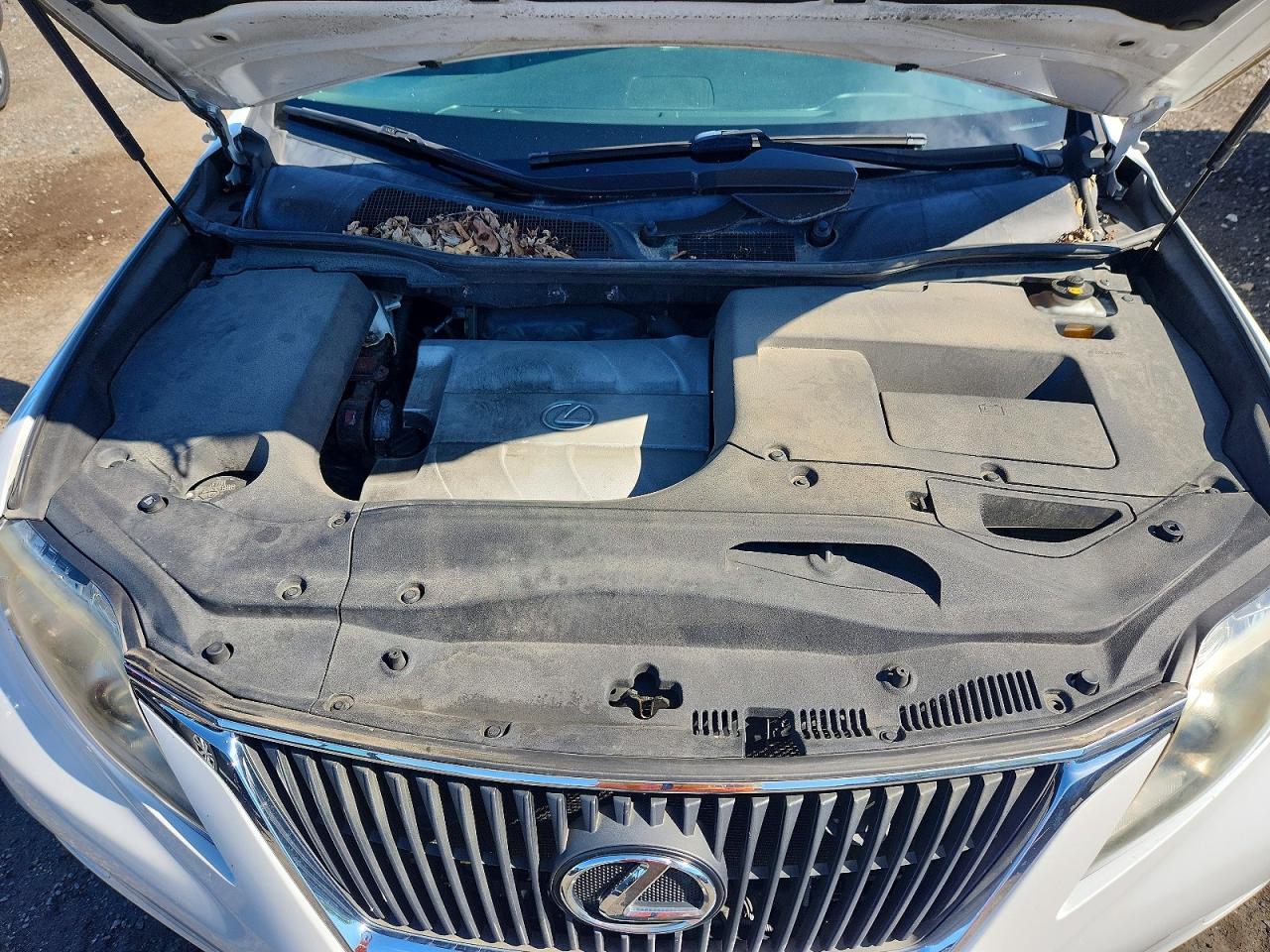 2011 Lexus Rx 350 Белый vin: JTJBK1BA1B2013648