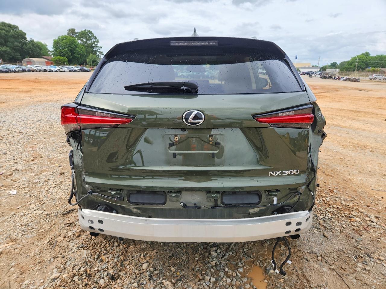2021 Lexus Nx 300 Base Зеленый vin: JTJDARBZ2M2193130