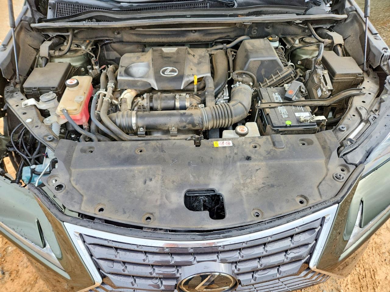2021 Lexus Nx 300 Base Зеленый vin: JTJDARBZ2M2193130