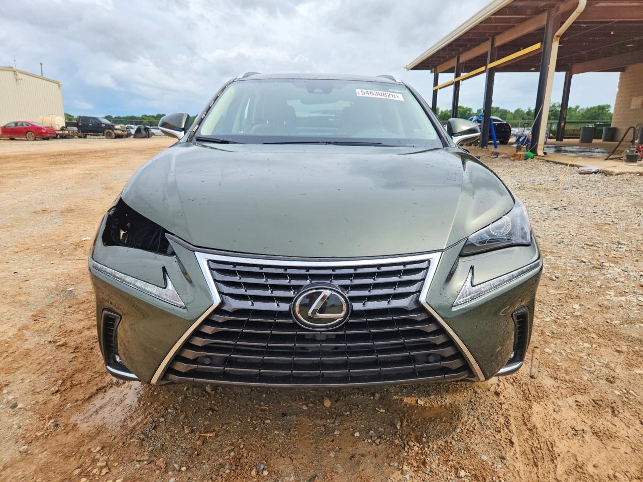 2021 Lexus Nx 300 Base Зеленый vin: JTJDARBZ2M2193130