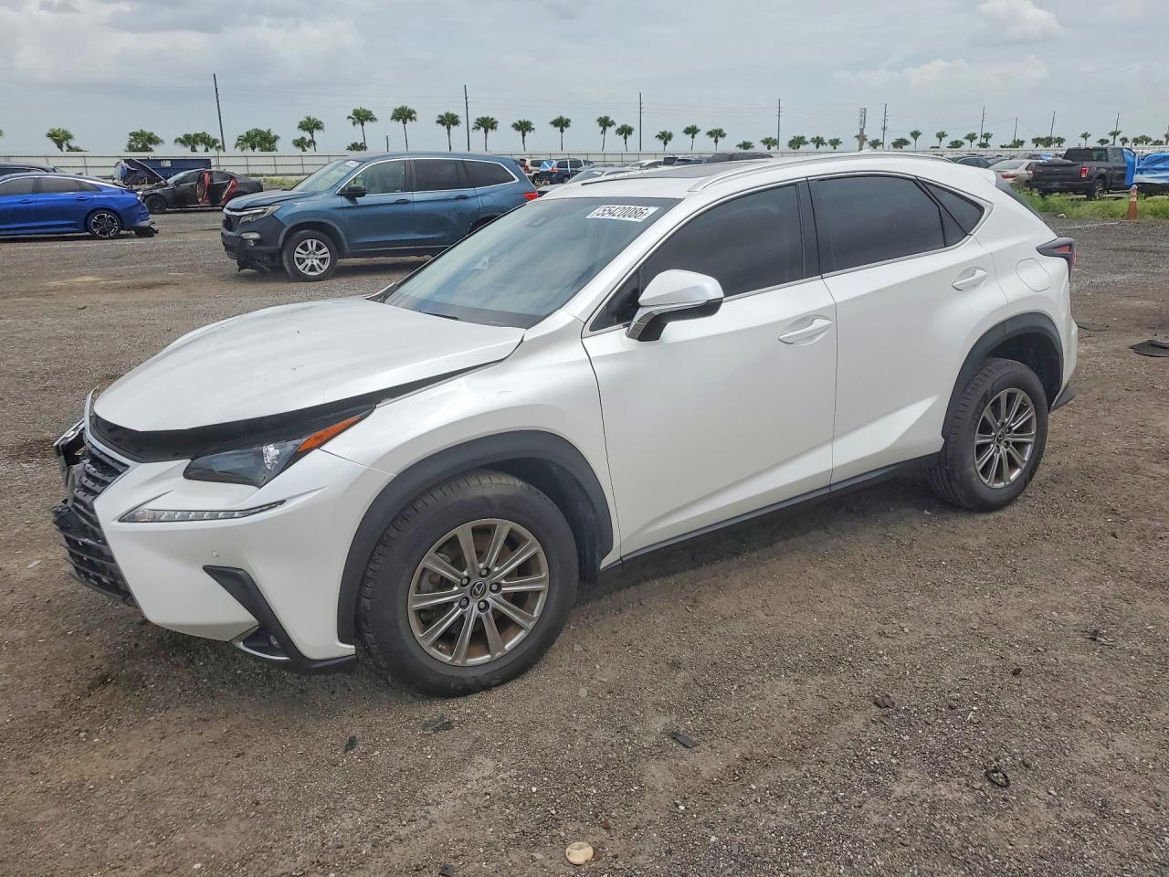 2020 Lexus Nx 300 White vin: JTJDARBZ9L5014417