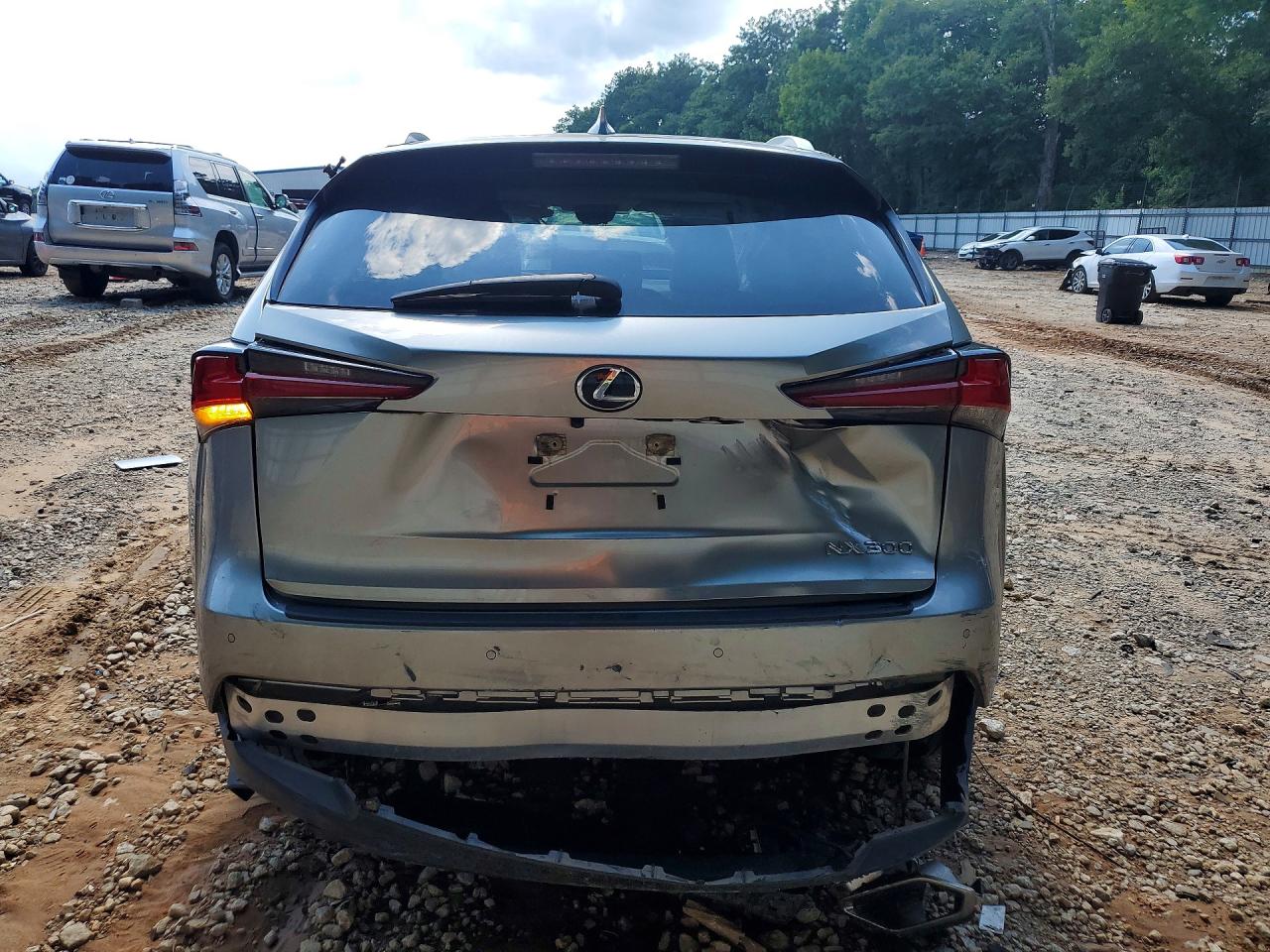 2020 Lexus Nx 300 Silver vin: JTJDARBZ9L5018791
