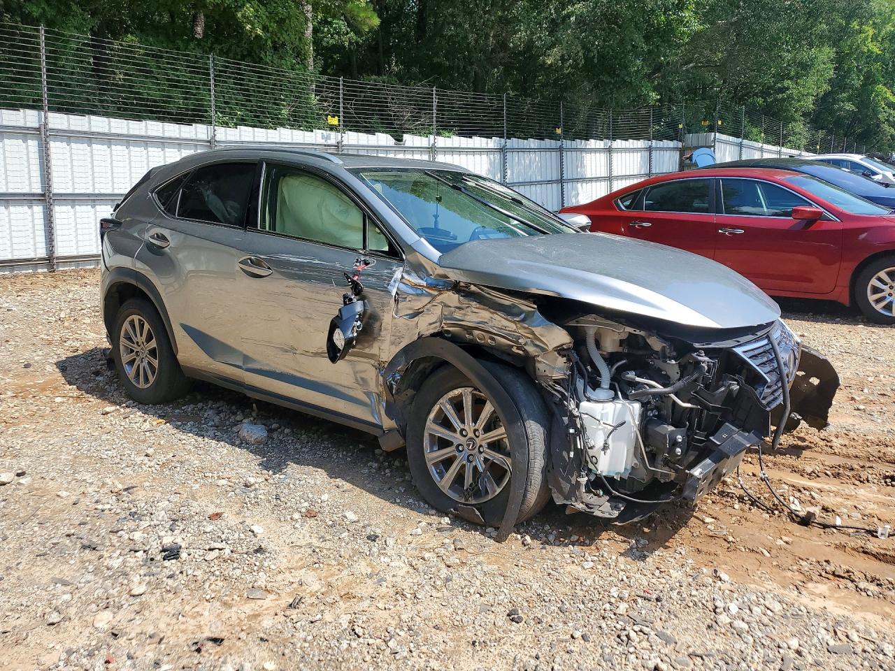 2020 Lexus Nx 300 Silver vin: JTJDARBZ9L5018791