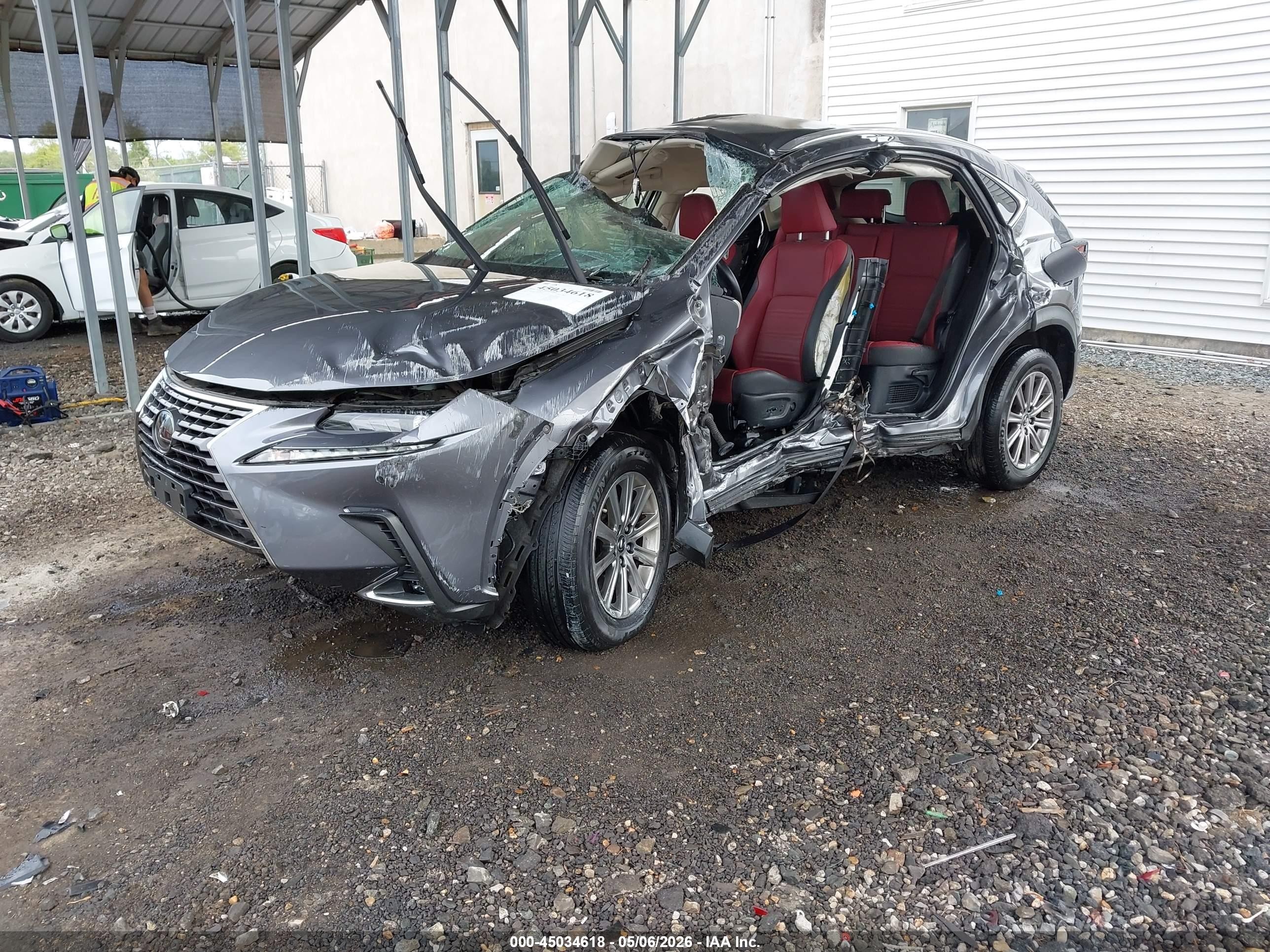 2021 Lexus Nx 300   Серый vin: JTJDARDZ0M2236649