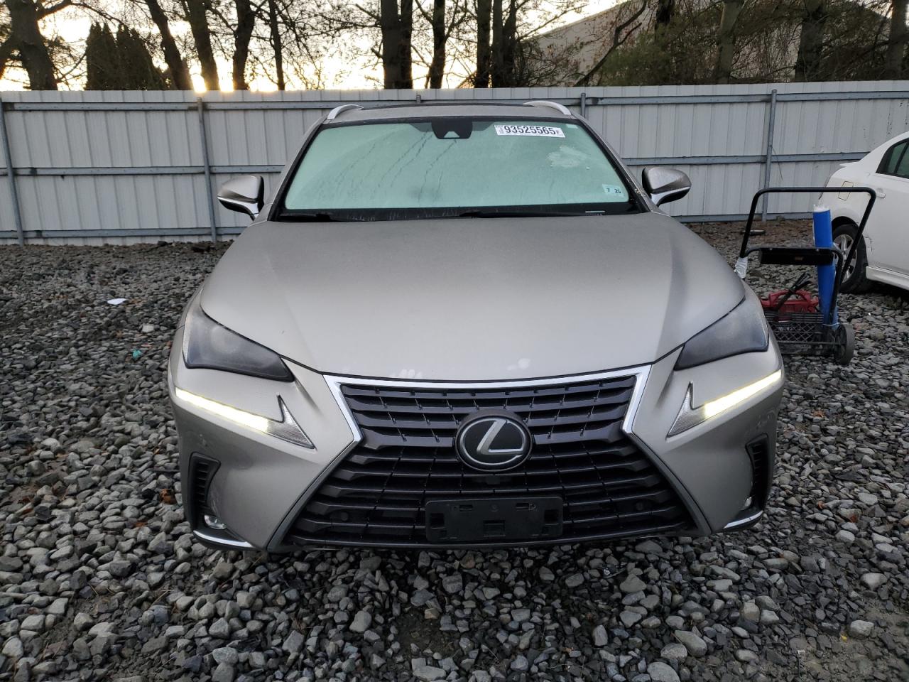 2020 Lexus Nx 300 Silver vin: JTJDARDZ4L5017772