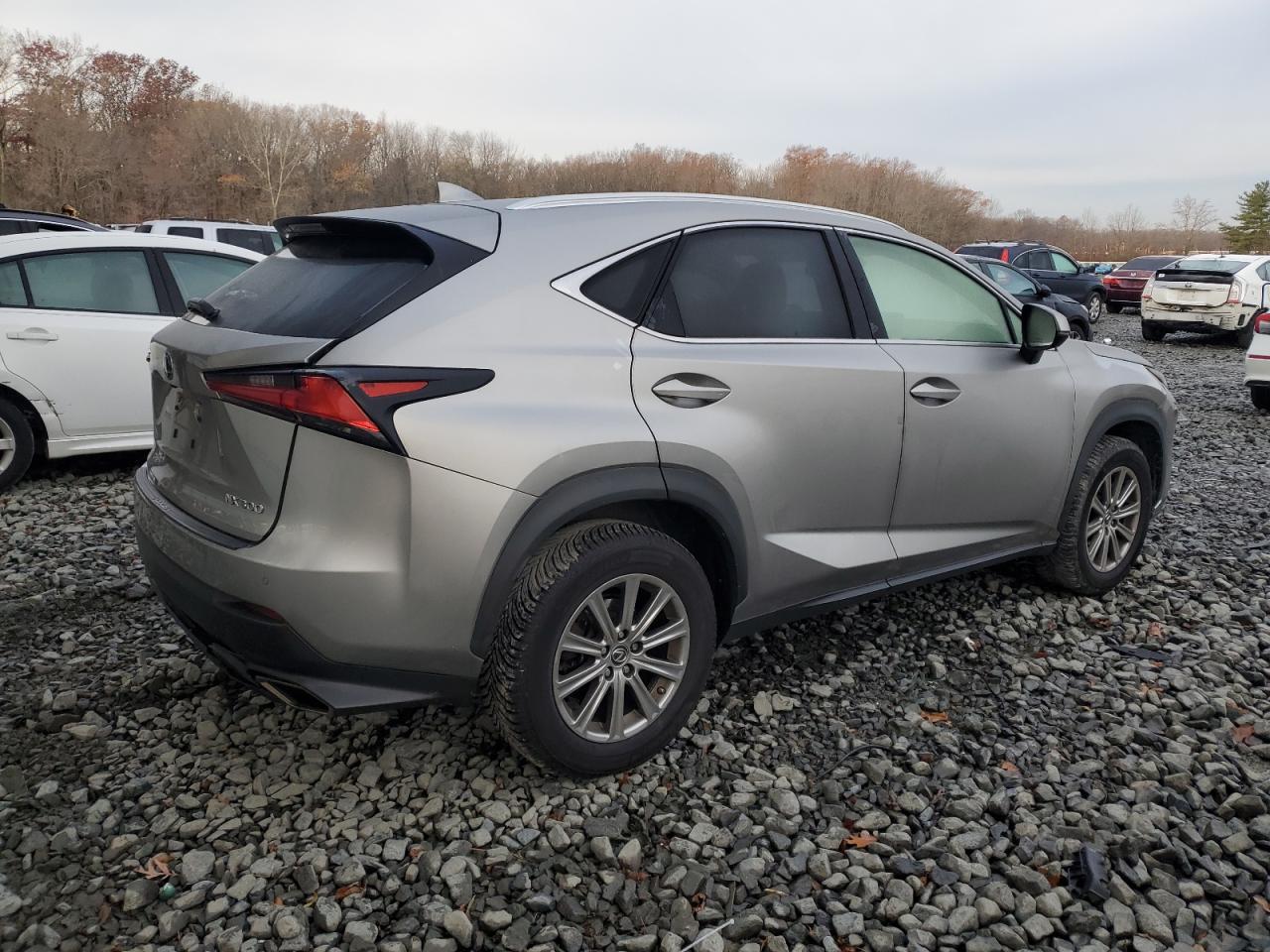 2020 Lexus Nx 300 Silver vin: JTJDARDZ4L5017772