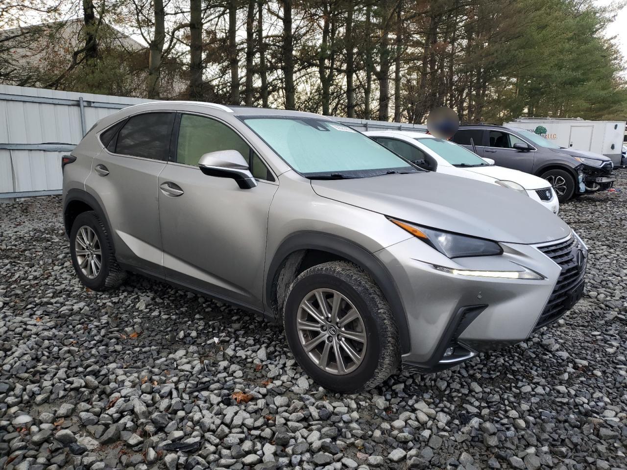 2020 Lexus Nx 300 Silver vin: JTJDARDZ4L5017772