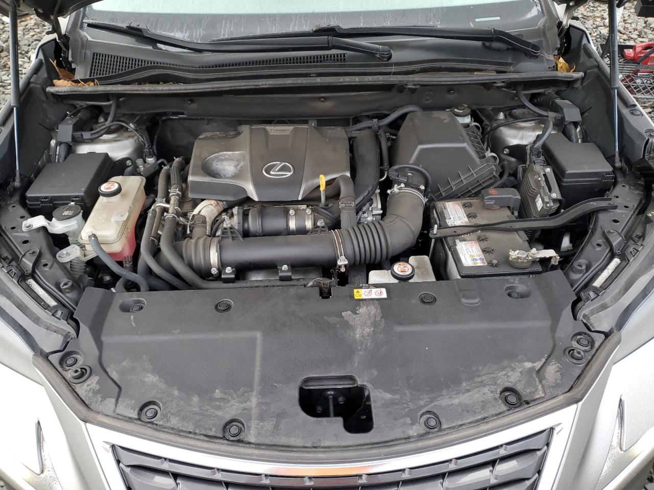 2020 Lexus Nx 300 Silver vin: JTJDARDZ4L5017772
