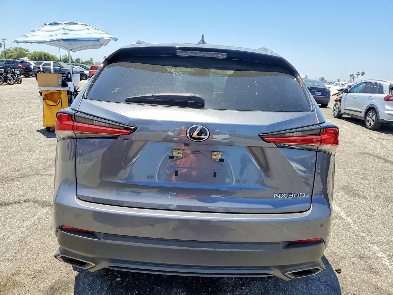 2020 Lexus Nx 300 Silver vin: JTJGARBZ8L5019170