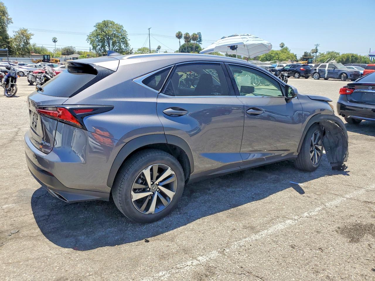 2020 Lexus Nx 300 Silver vin: JTJGARBZ8L5019170