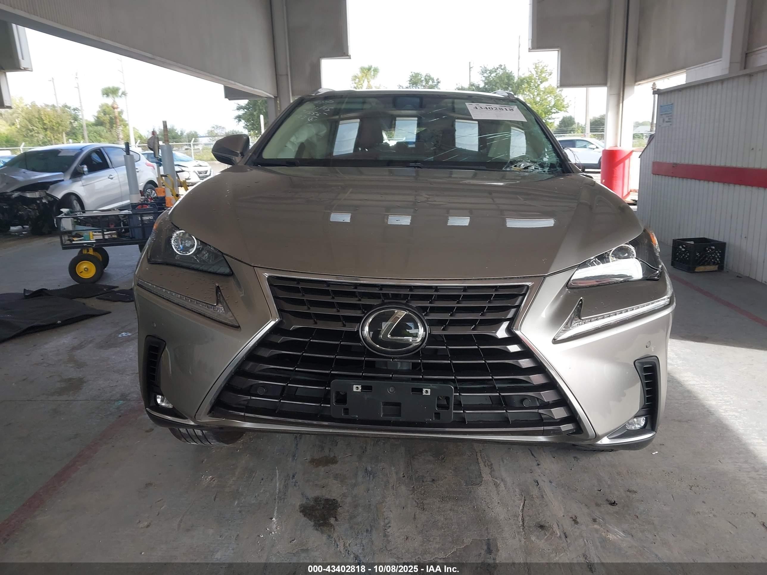 2021 Lexus Nx 300   Champagne vin: JTJGARDZ2M5031216
