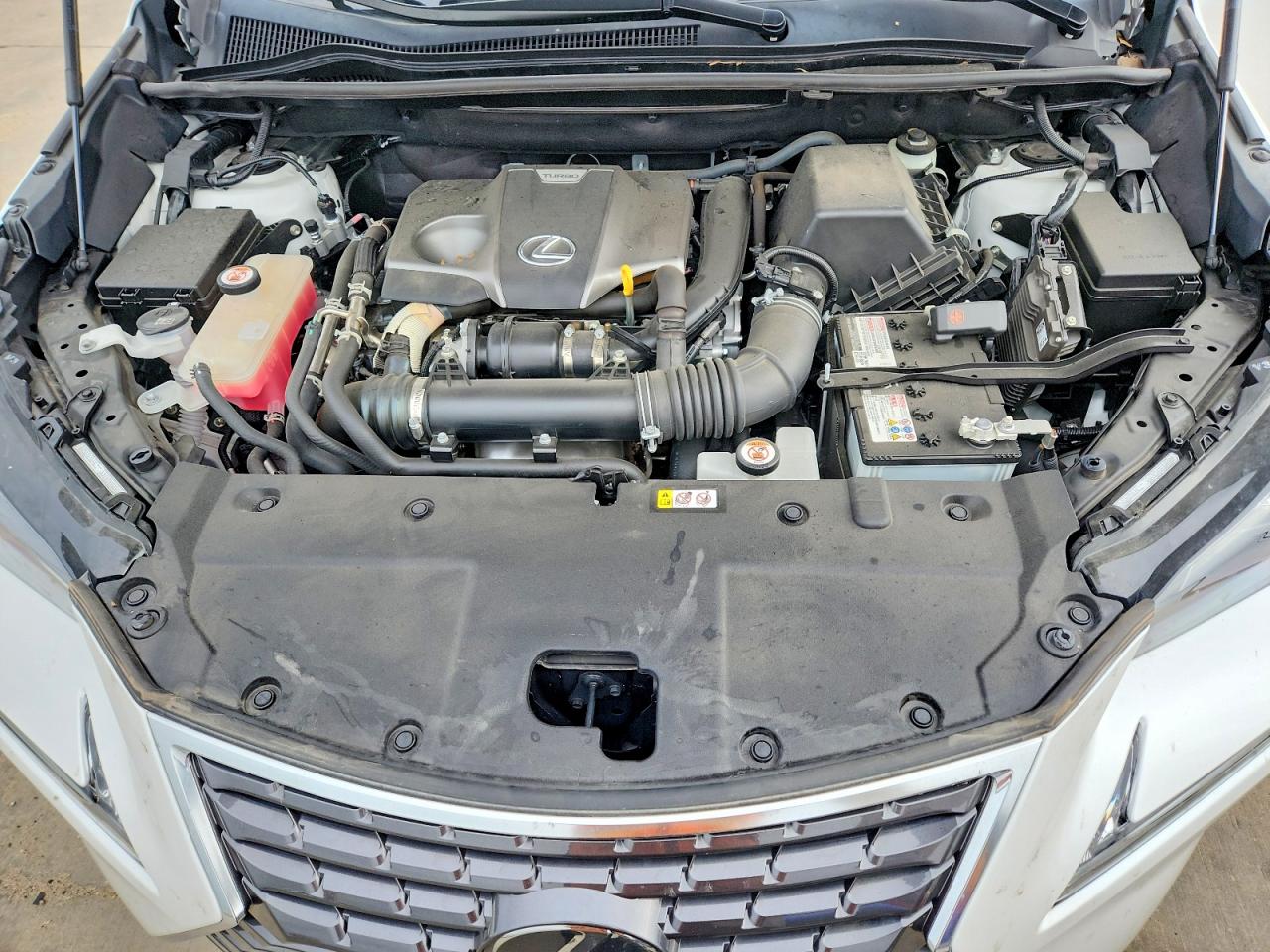 2021 Lexus Nx 300 Base White vin: JTJGARDZ9M5028779