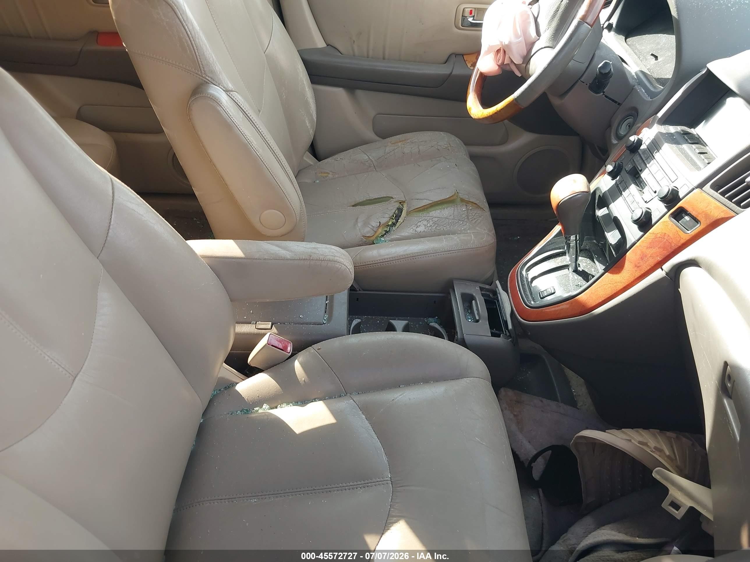 2002 Lexus Rx 300   Tan vin: JTJGF10U020126347