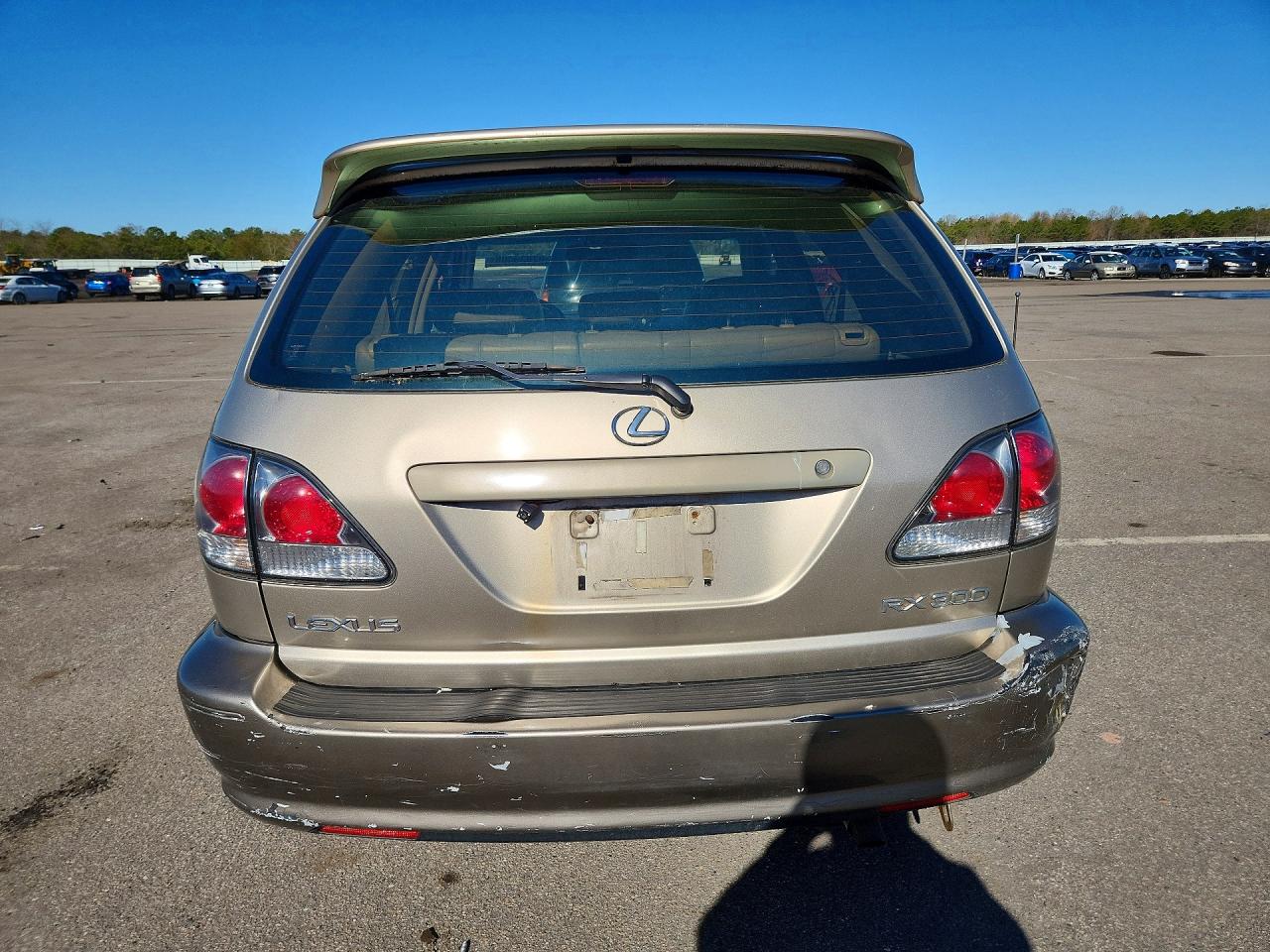 2003 Lexus Rx 300 Beige vin: JTJGF10U130162596
