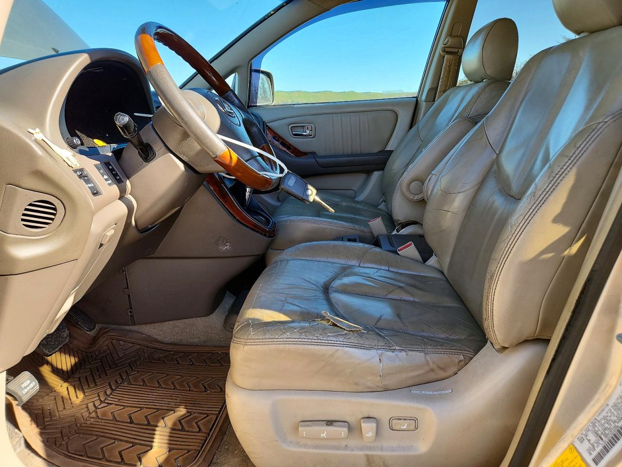 2003 Lexus Rx 300 Beige vin: JTJGF10U130162596