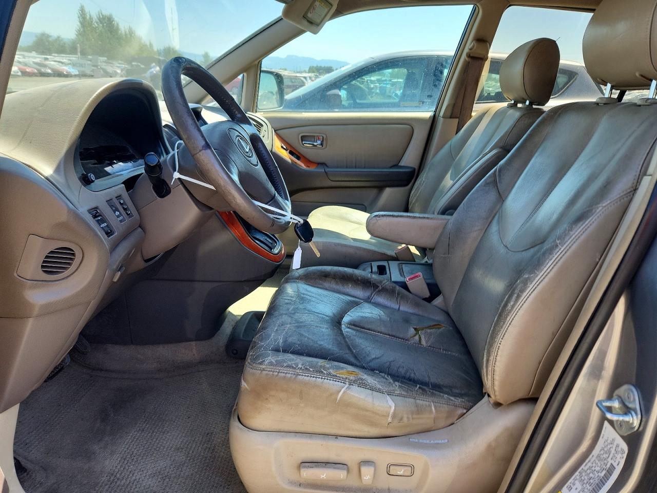 2002 Lexus Rx 300 Silver vin: JTJGF10U420126061