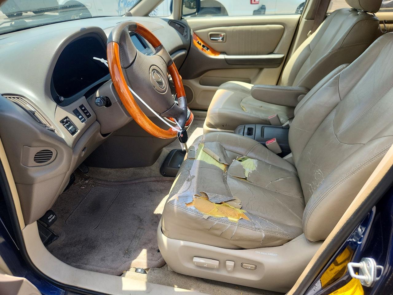 2001 Lexus Rx 300 Синий vin: JTJGF10U810084119