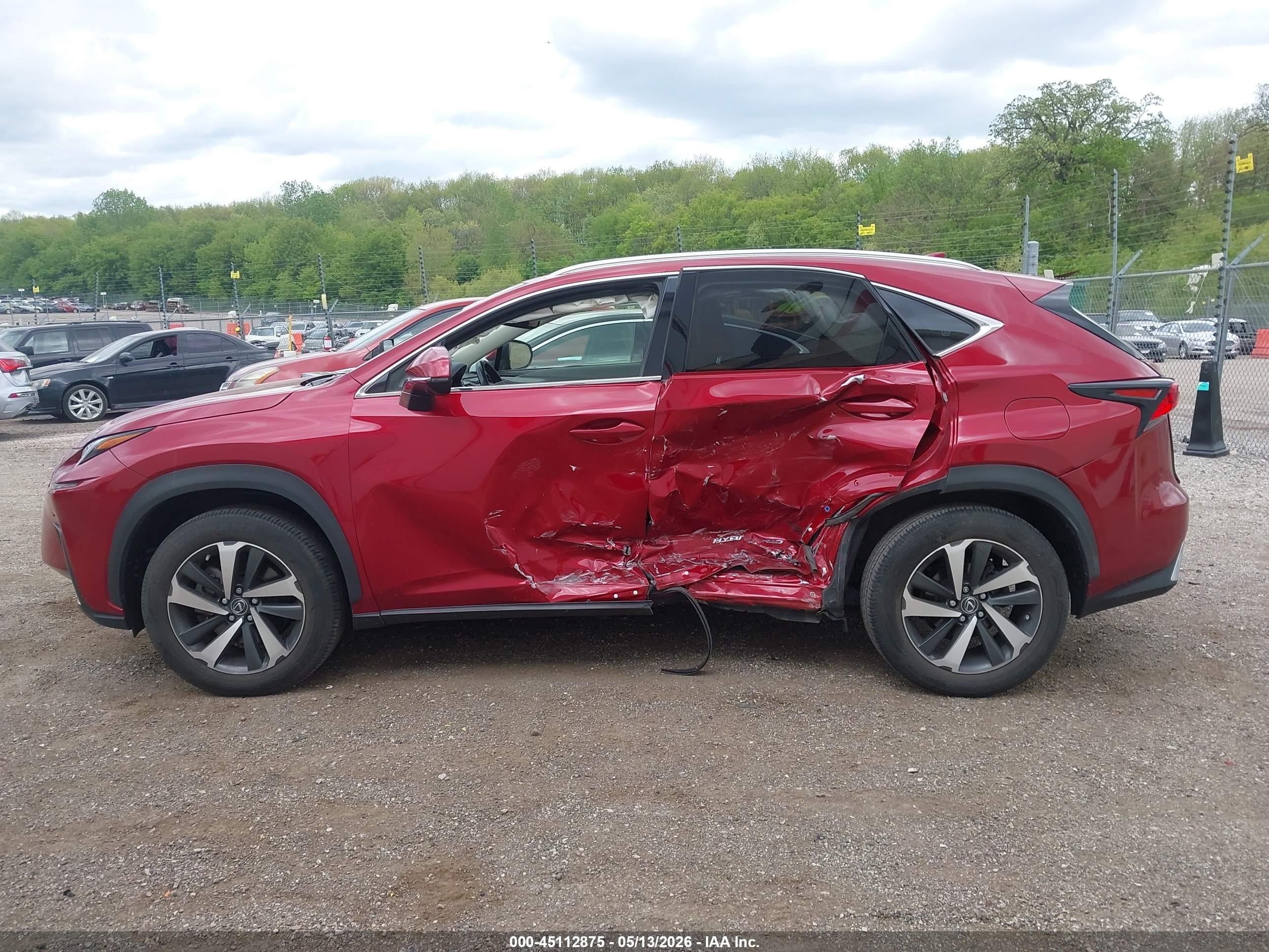 2021 Lexus Nx 300h   Red vin: JTJGJRDZ5M5014166