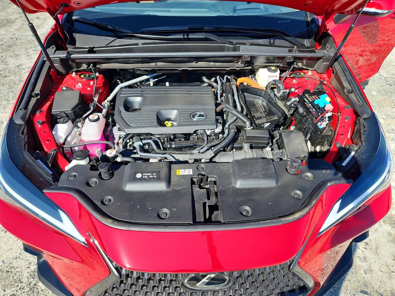 2025 Lexus Nx 350h Premium Red vin: JTJGKCEZ1S2067597