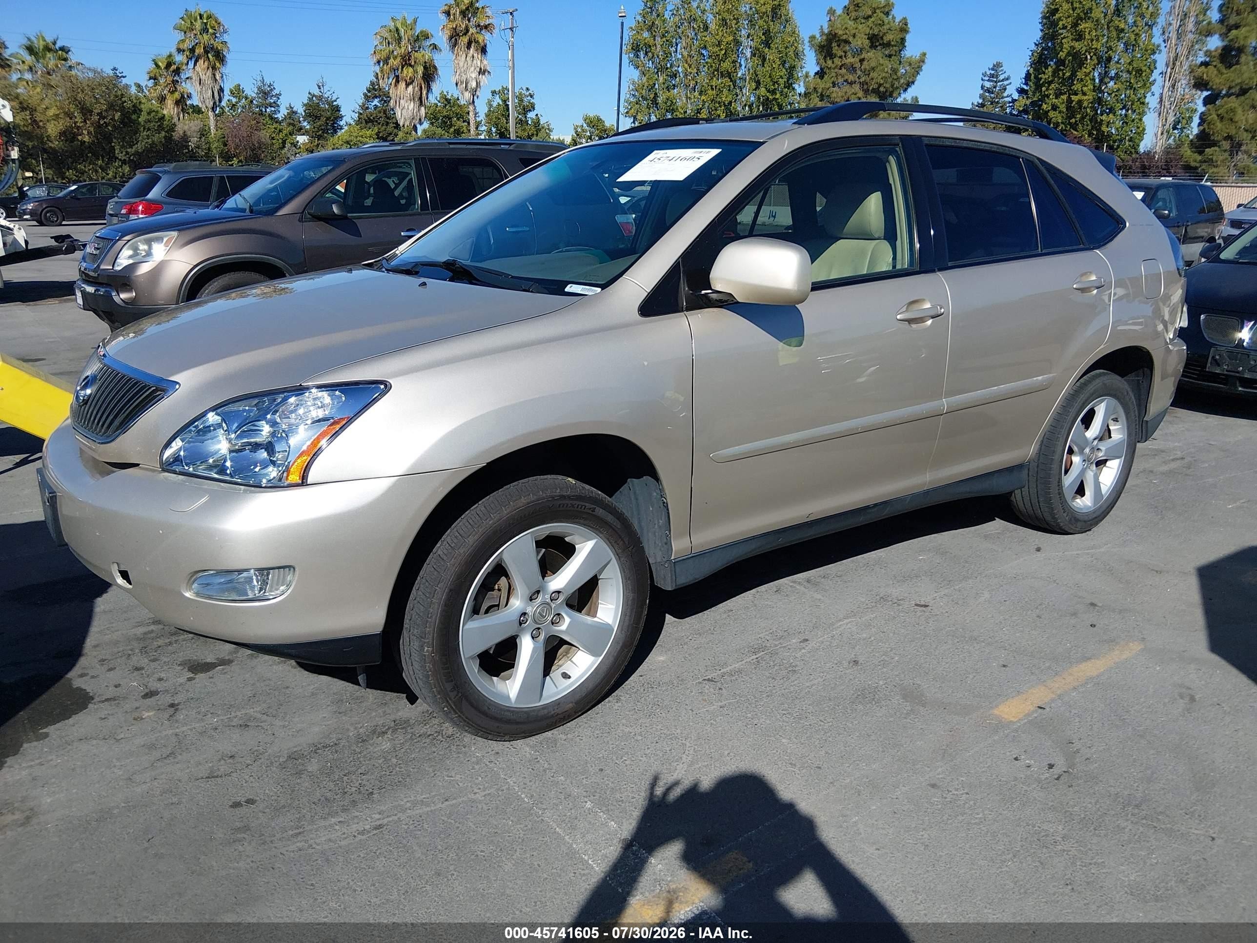 2004 Lexus Rx 330   Champagne vin: JTJHA31U740054899