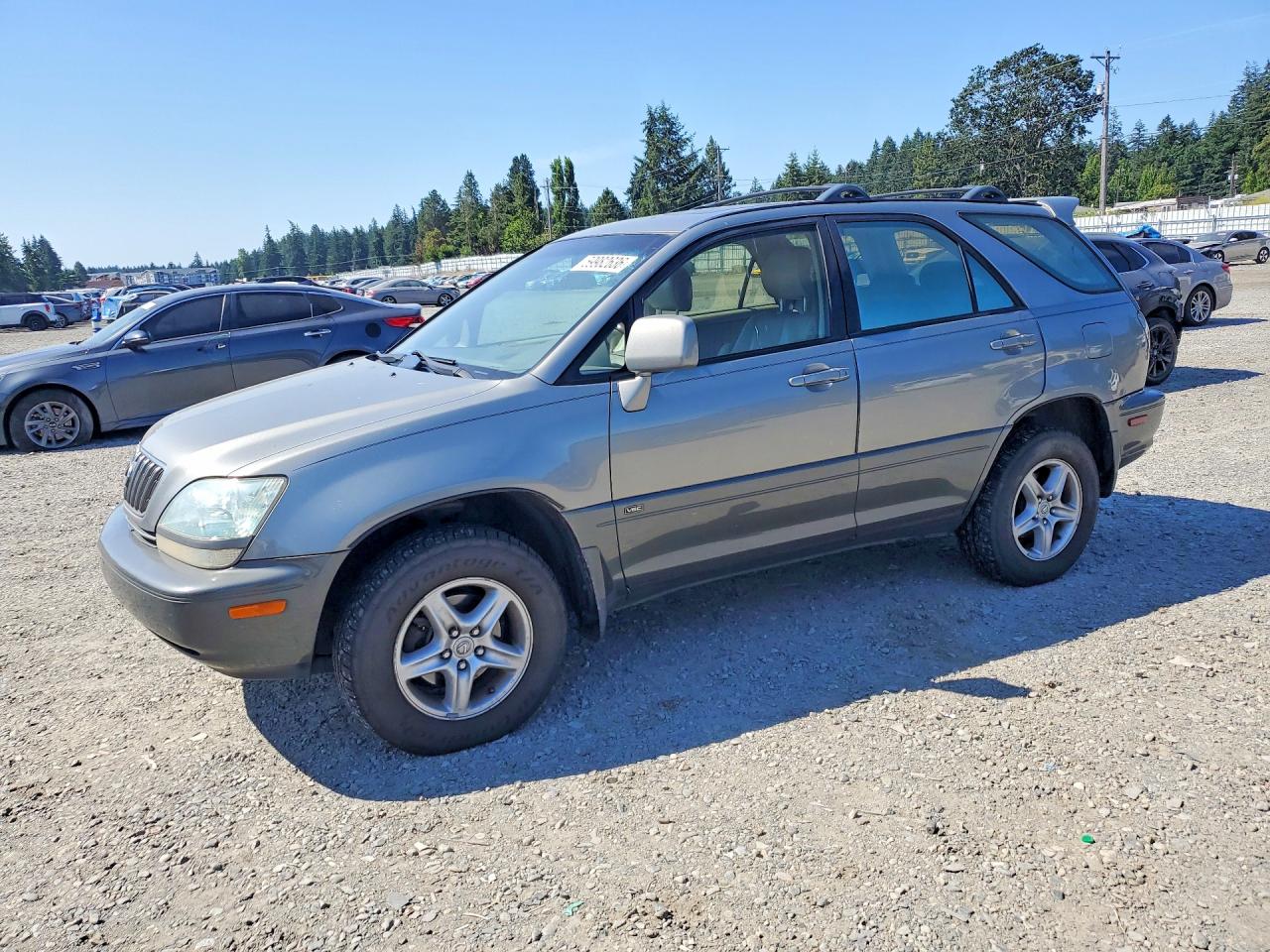 2002 Lexus Rx 300 Tan vin: JTJHF10U020290105