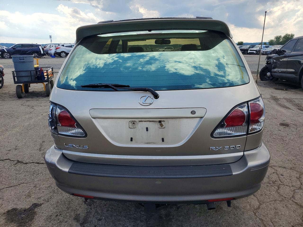 2001 Lexus Rx 300 Beige vin: JTJHF10U410219097