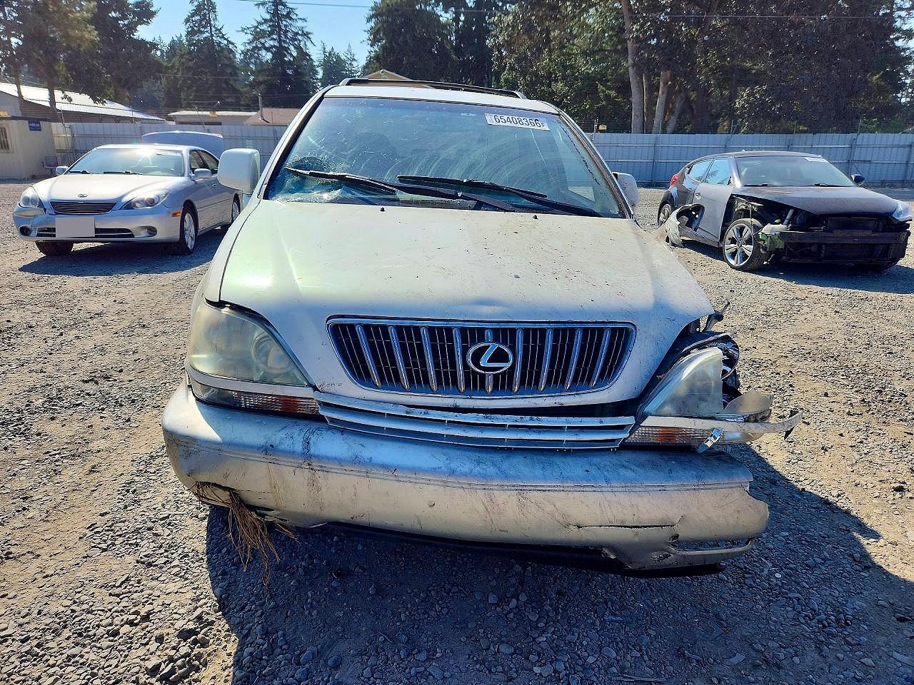 2002 Lexus Rx 300 White vin: JTJHF10U620244651