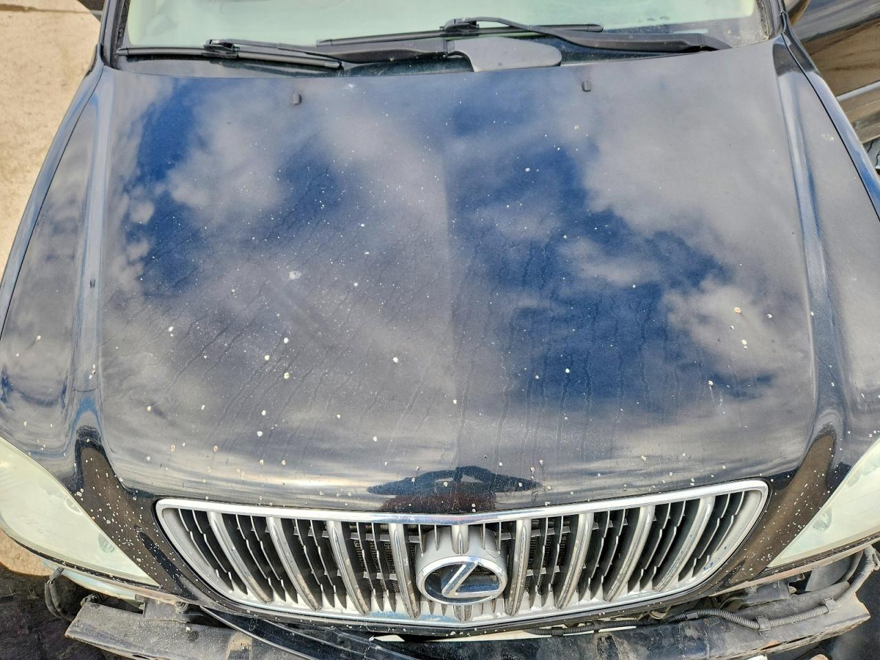 2002 Lexus Rx 300 Base Black vin: JTJHF10U920258074