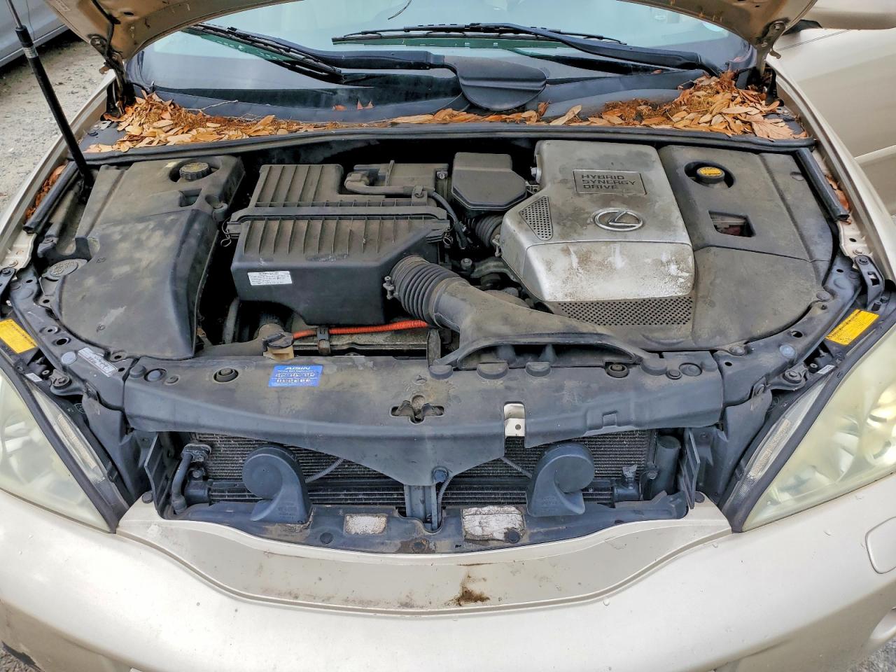 2006 Lexus Rx 400 Gold vin: JTJHW31U560040505