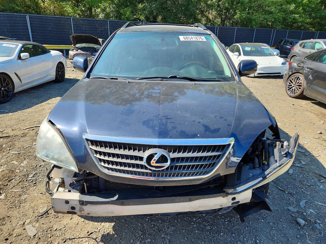 2007 Lexus Rx 400h Blue vin: JTJHW31UX72020871