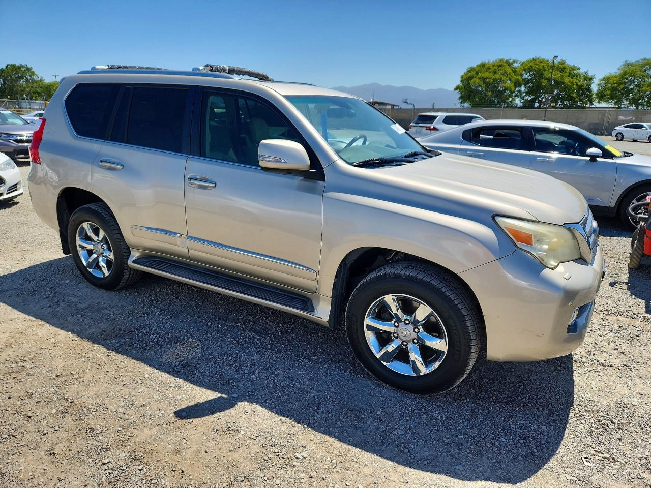 2010 Lexus Gx 460 Premium Gold vin: JTJJM7FX5A5015231