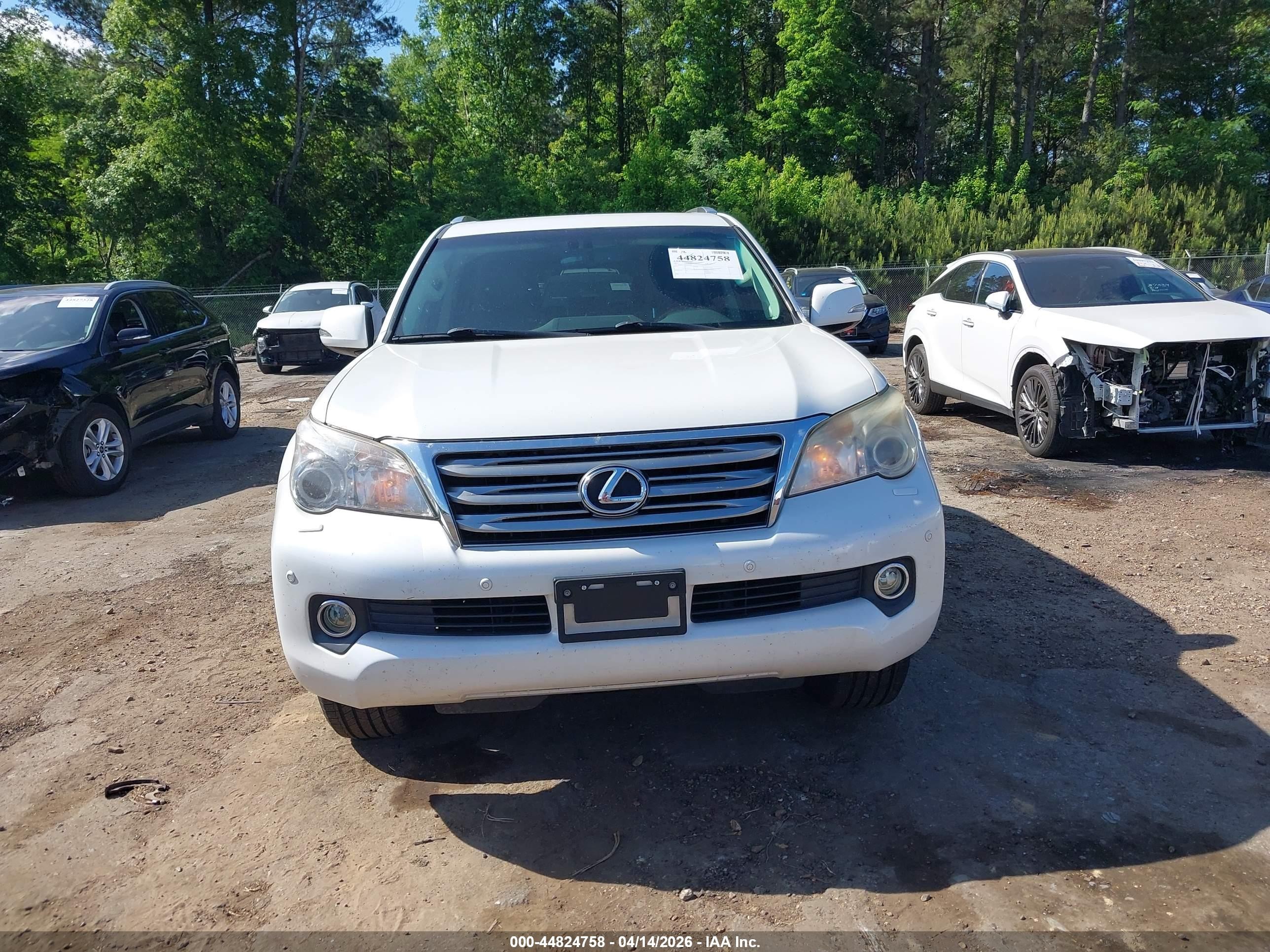 2011 Lexus Gx 460 Premium White vin: JTJJM7FX8B5026662