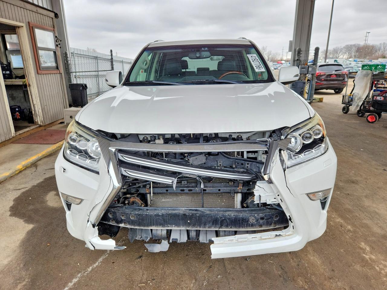 2015 Lexus Gx 460 Luxury Белый vin: JTJJM7FXXF5114263