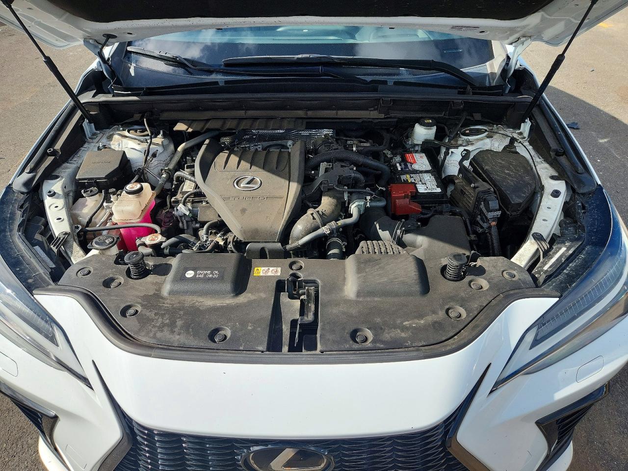 2022 Lexus Nx 350 White vin: JTJKGCEZ2N2002709