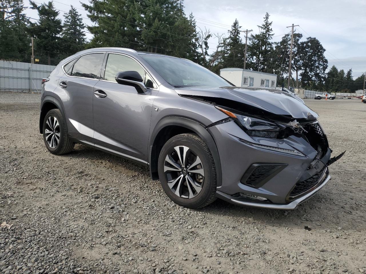 2020 Lexus Nx 300 F Sport Gray vin: JTJSARDZ9L5006287
