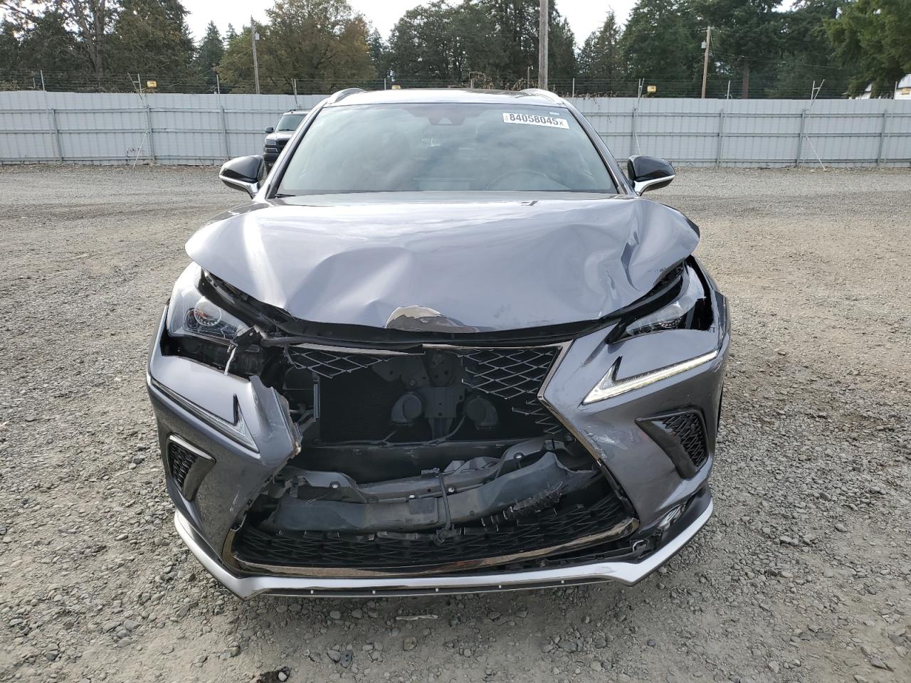 2020 Lexus Nx 300 F Sport Gray vin: JTJSARDZ9L5006287