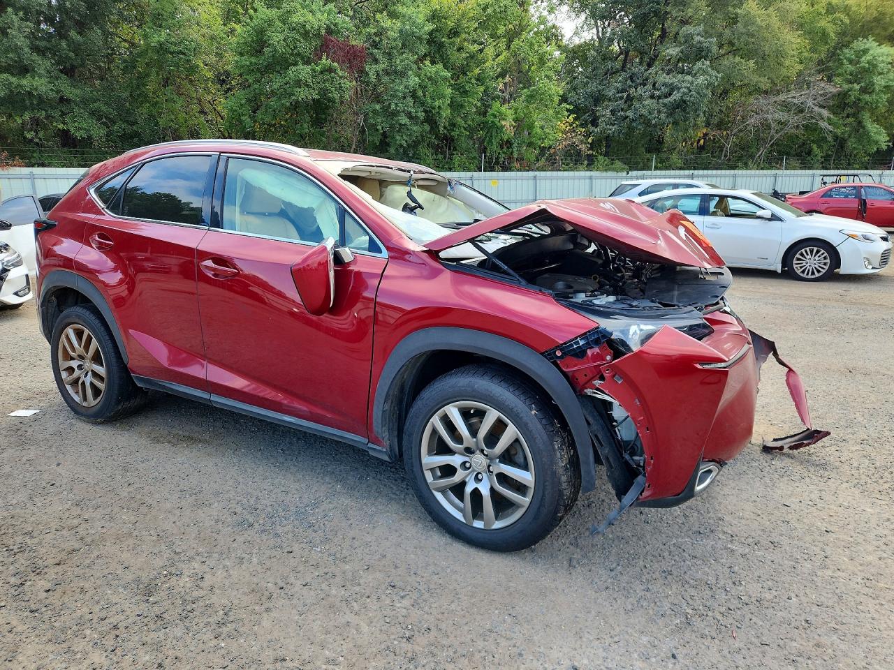 2015 Lexus Nx 200t Red vin: JTJYARBZ3F2014839