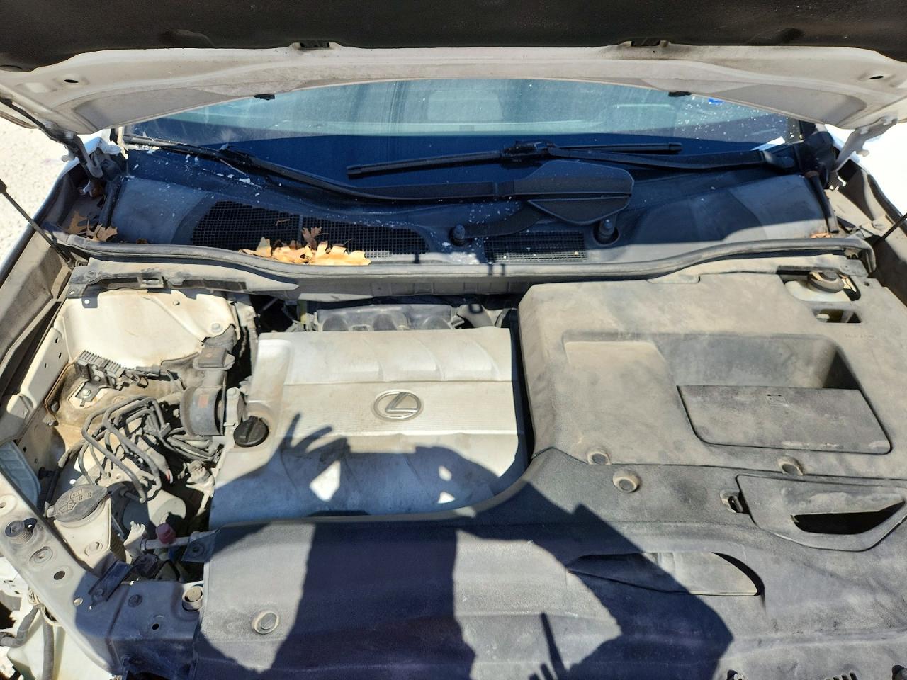2010 Lexus Rx 350 Белый vin: JTJZK1BA5A2000544