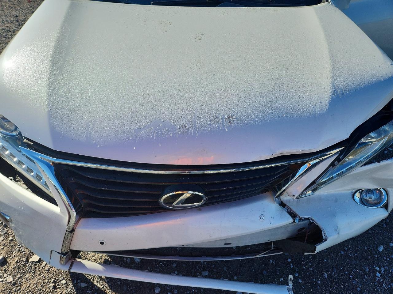 2014 Lexus Rx 350 White vin: JTJZK1BA7E2013799