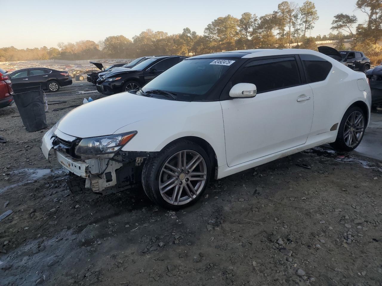 2011 Toyota Scion Tc White vin: JTKJF5C70B3007307