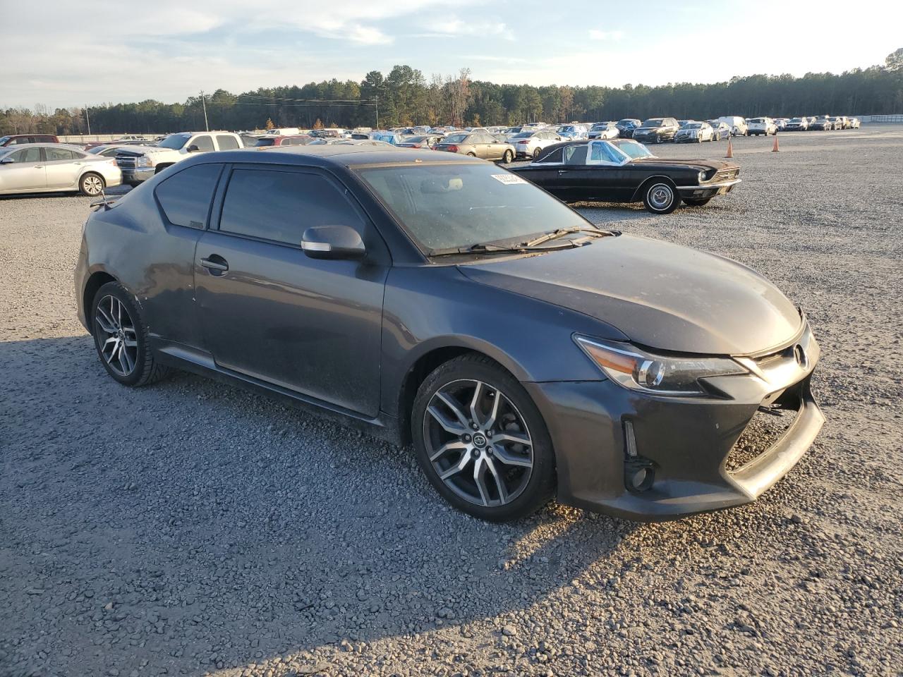 2015 Toyota Scion Tc Gray vin: JTKJF5C70FJ004747