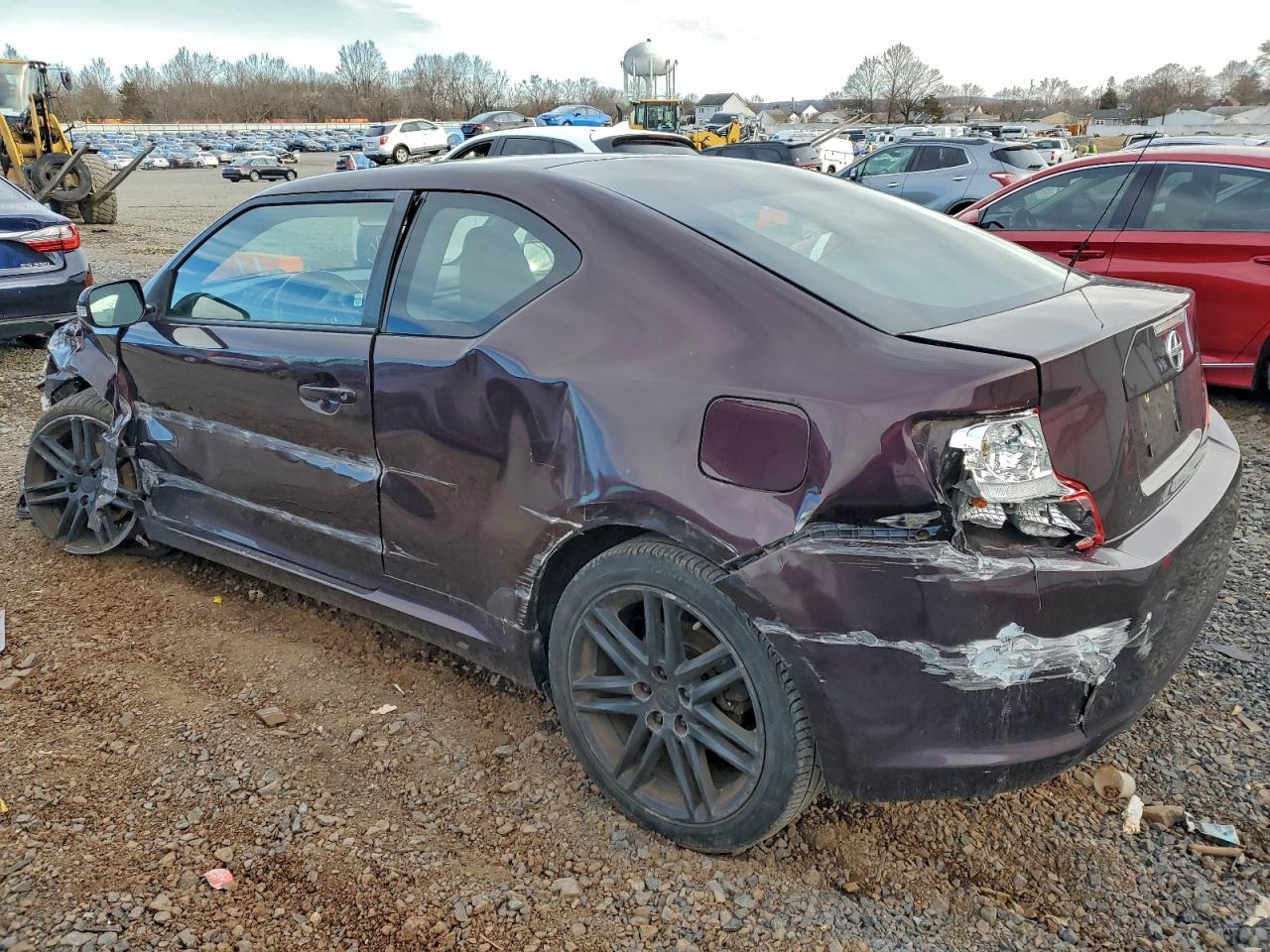 2011 Toyota Scion Tc Purple vin: JTKJF5C74B3005656
