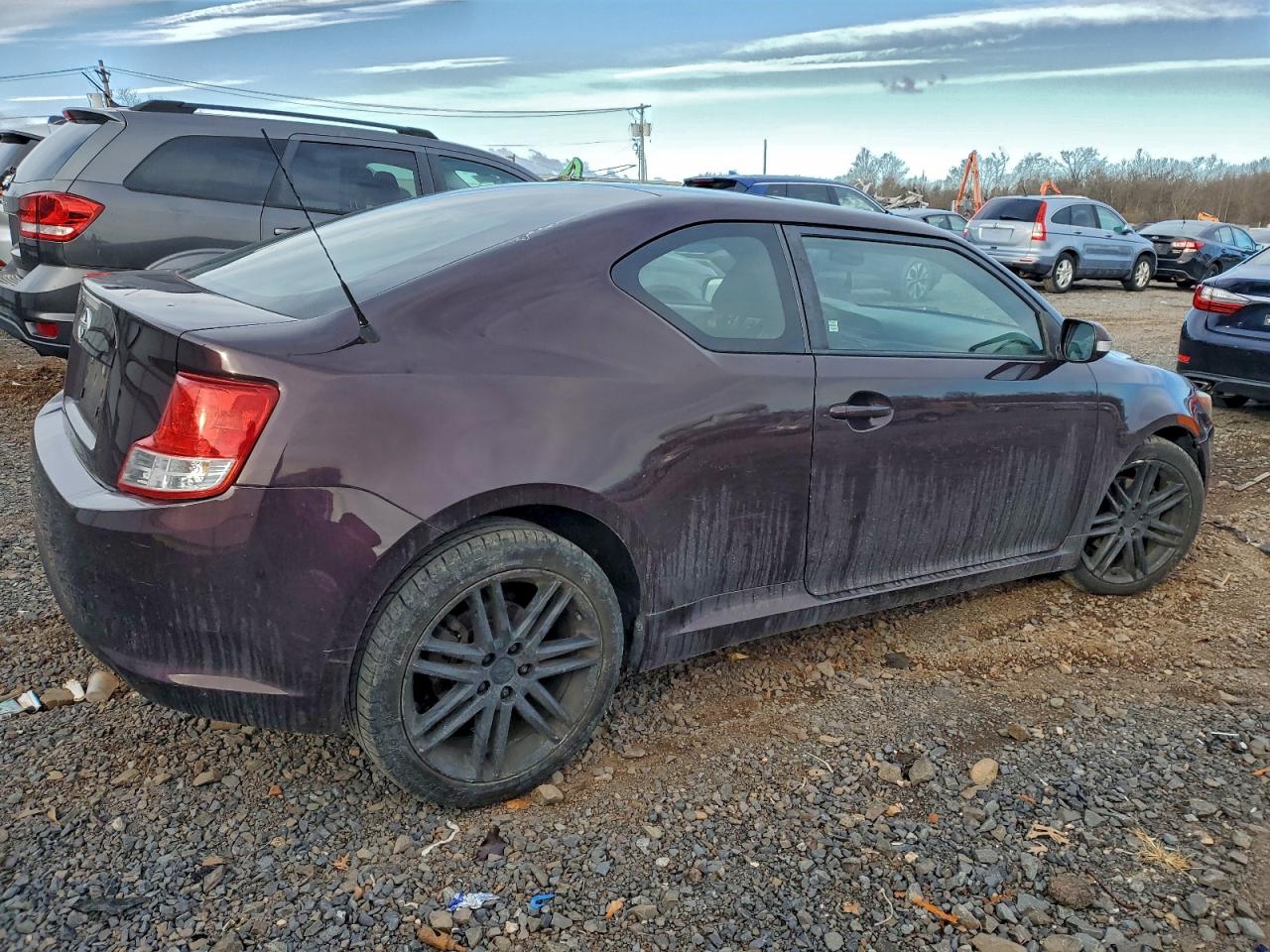 2011 Toyota Scion Tc Purple vin: JTKJF5C74B3005656