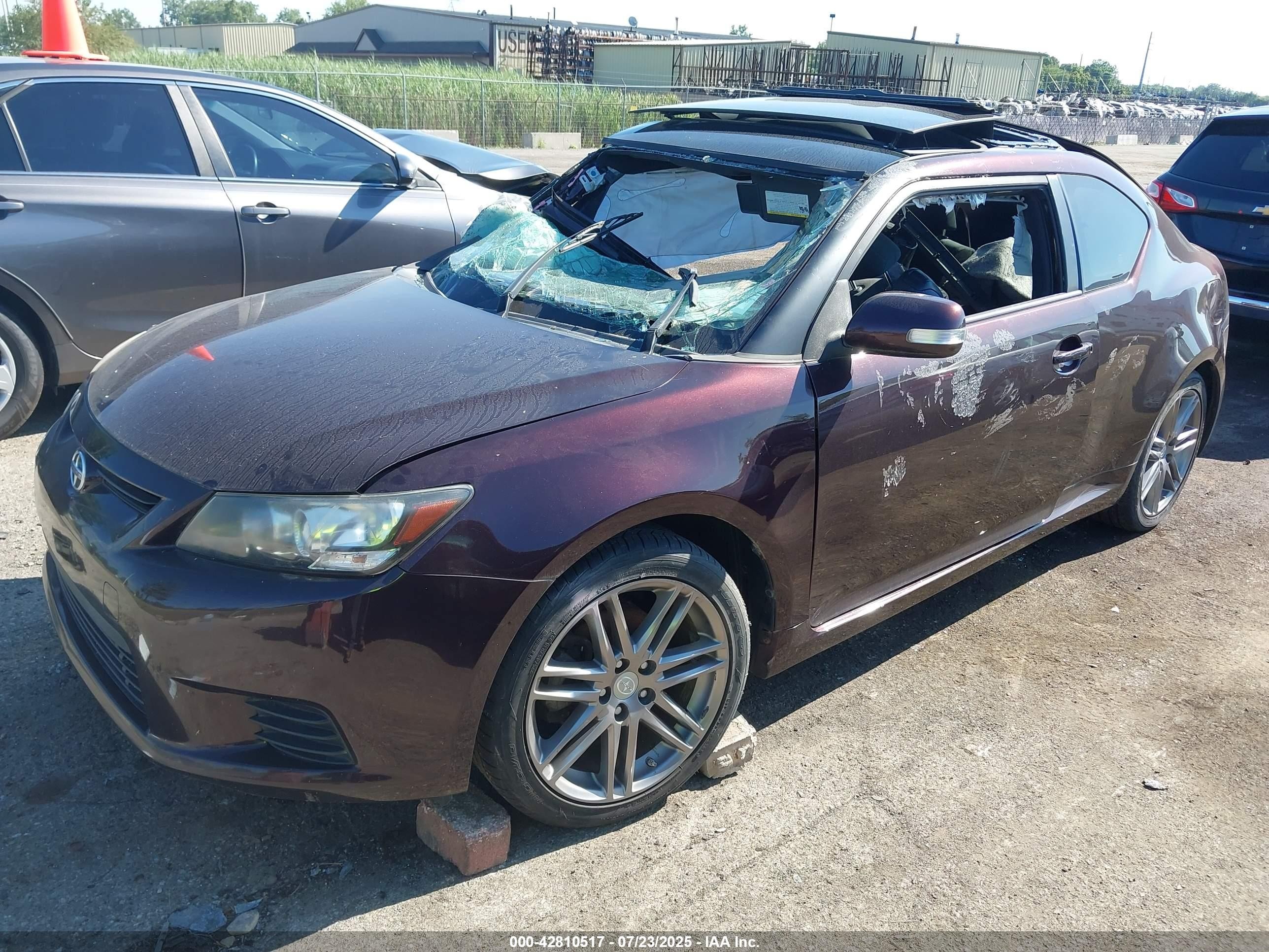 2012 Scion Tc   Фиолетовый vin: JTKJF5C75C3043382