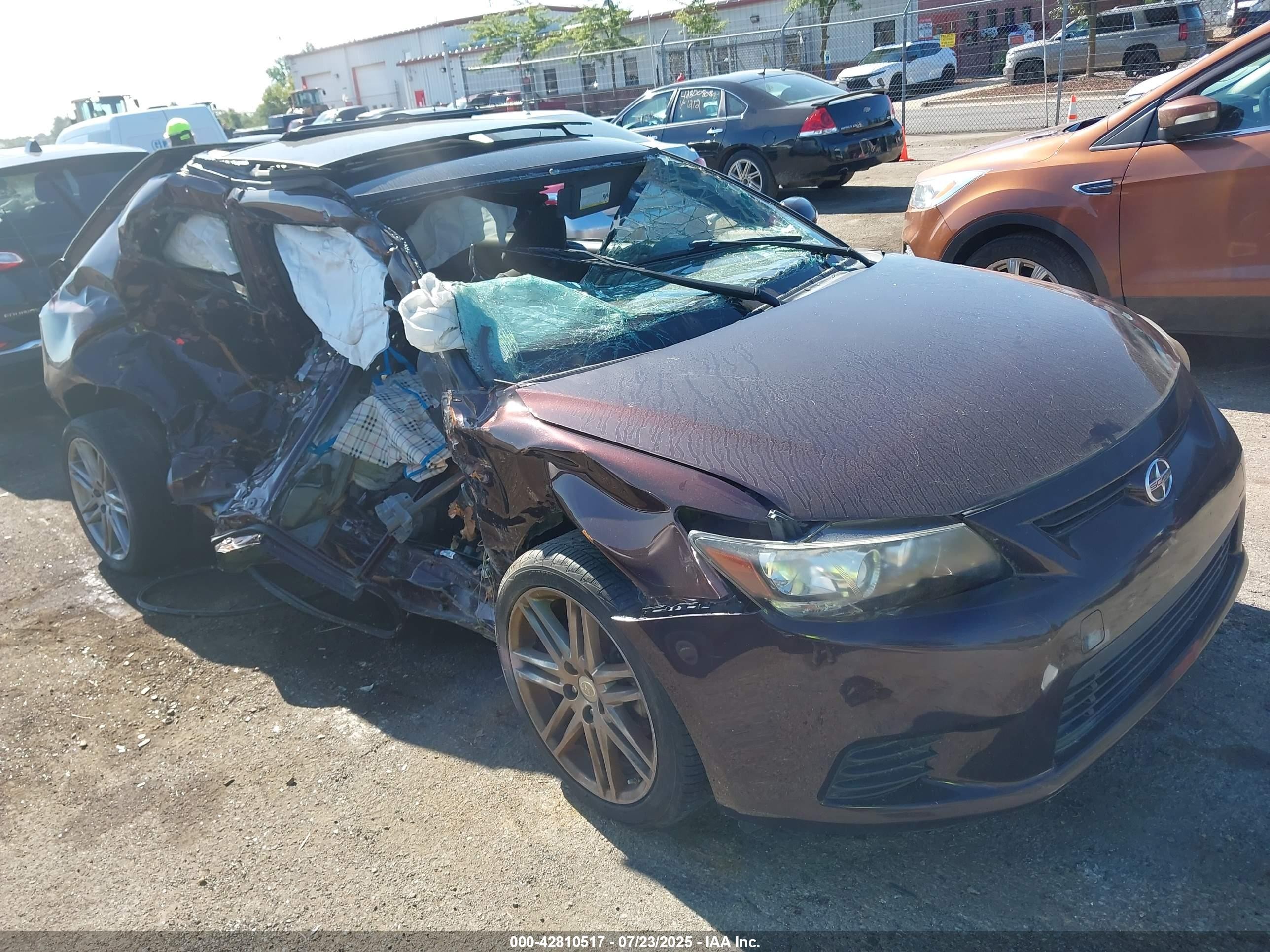 2012 Scion Tc   Фиолетовый vin: JTKJF5C75C3043382