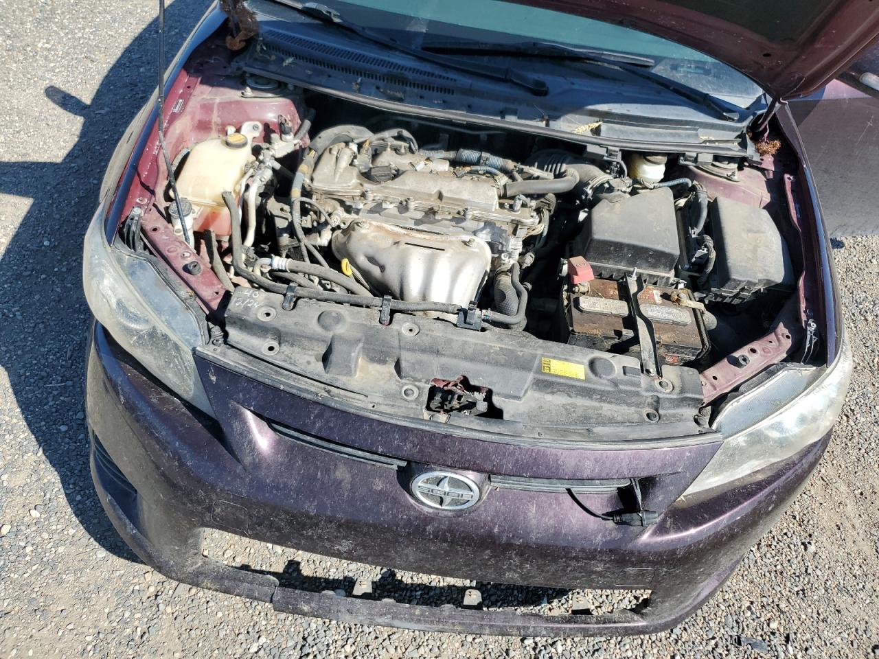 2011 Toyota Scion Tc Purple vin: JTKJF5C76B3008039