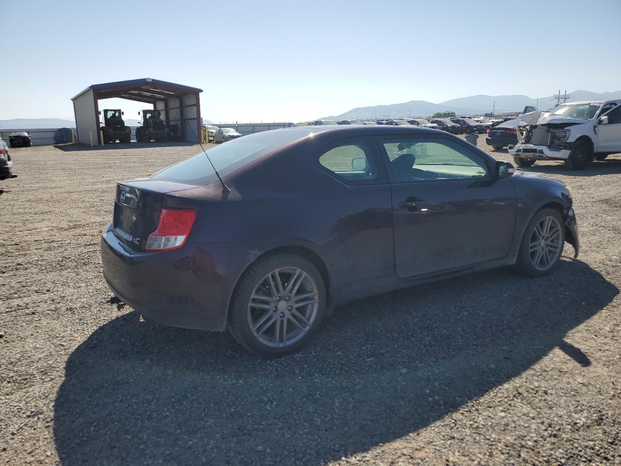 2011 Toyota Scion Tc Purple vin: JTKJF5C76B3008039