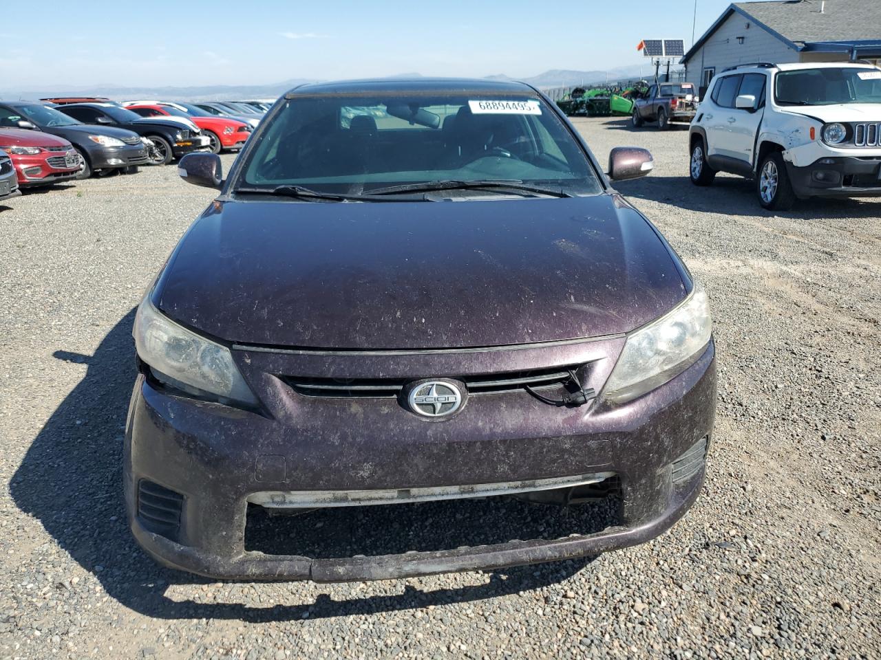 2011 Toyota Scion Tc Purple vin: JTKJF5C76B3008039