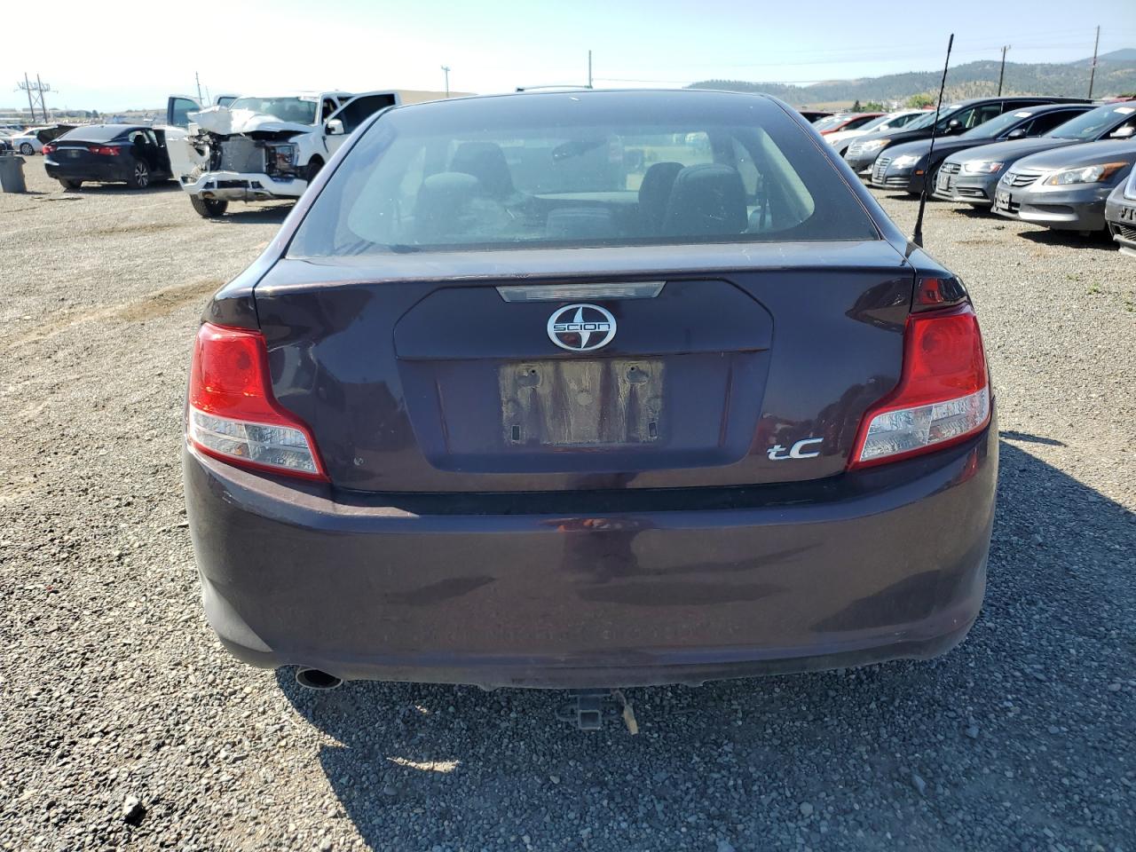 2011 Toyota Scion Tc Purple vin: JTKJF5C76B3008039