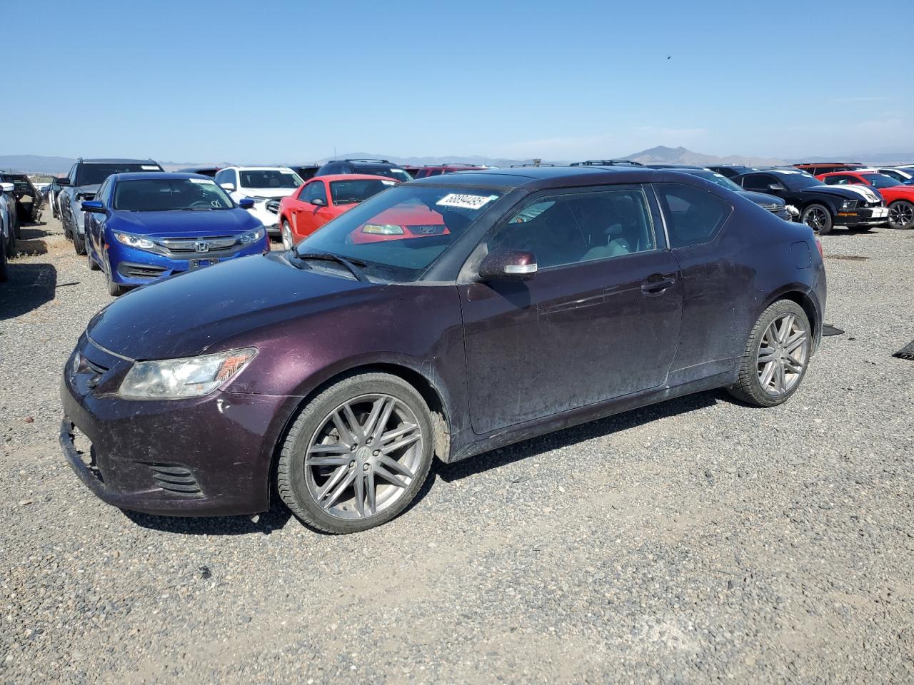 2011 Toyota Scion Tc Purple vin: JTKJF5C76B3008039
